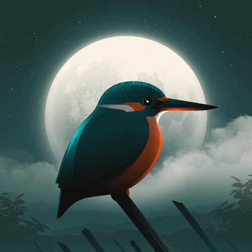 kingfisher
