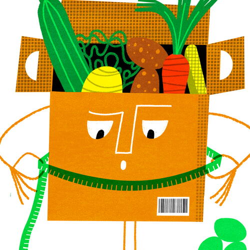 healthy food kits