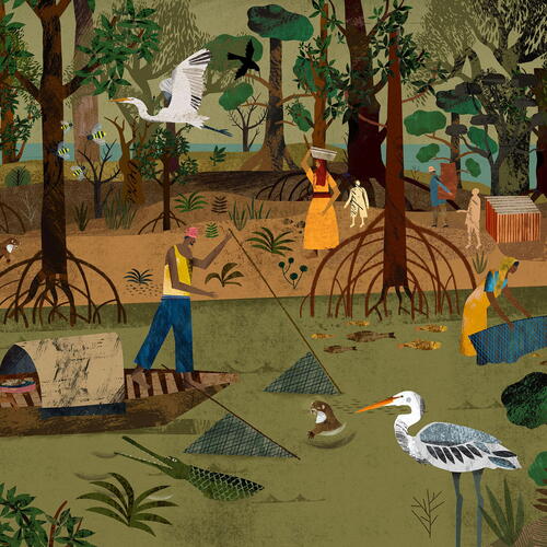 Mangrove Forest