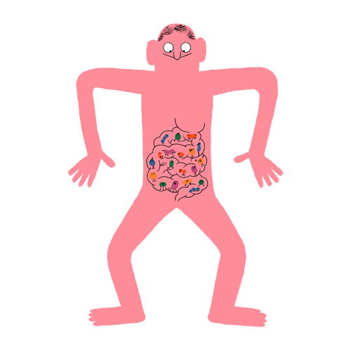 Gut Flora