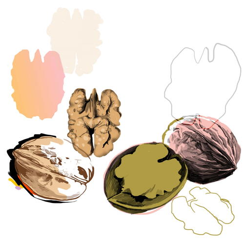 walnuts