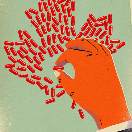 the economist