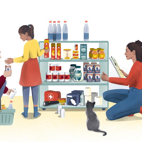 Preparing for crises and disasters