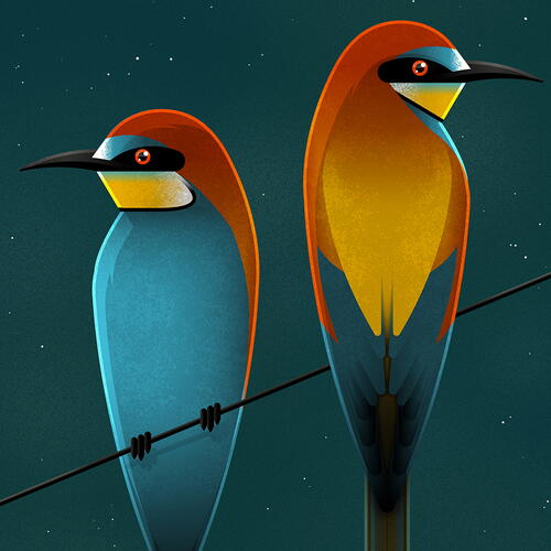 european bee eater