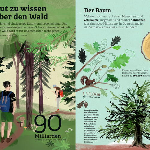 About the forest