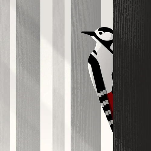 great spotted woodpecker