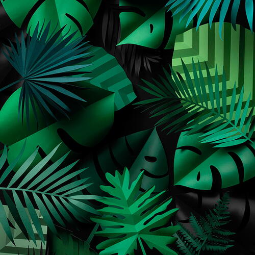 Jungle