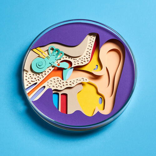 Hearing Loss Gene Therapy