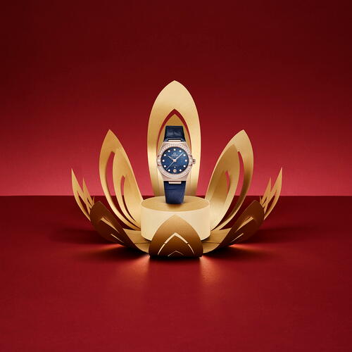 Omega Watches