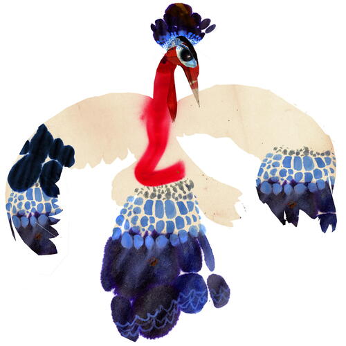 bird