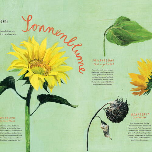 Weleda Werde Magazine