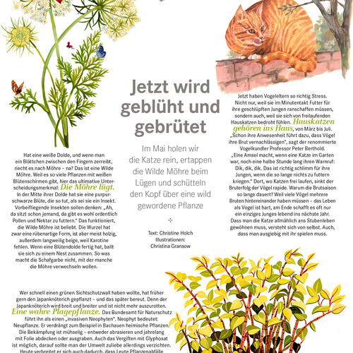 Chrismon Magazine - Column