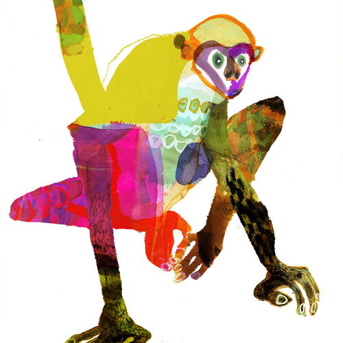 monkey